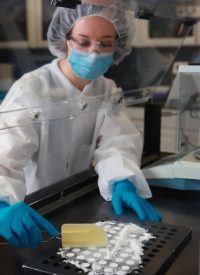Flow-Sciences-Compounding-Hoods Flow-Sciences-Compounding-Hoods